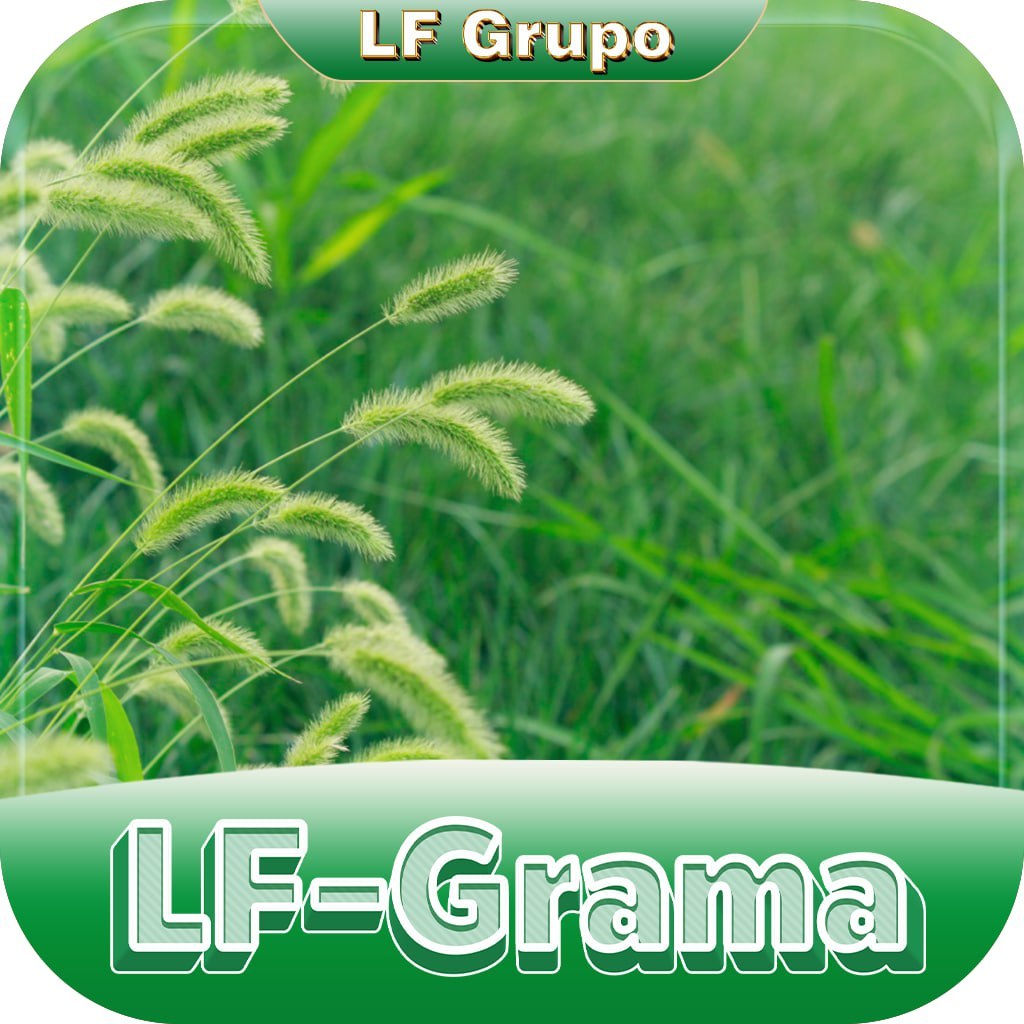 ✨ Lf Grama