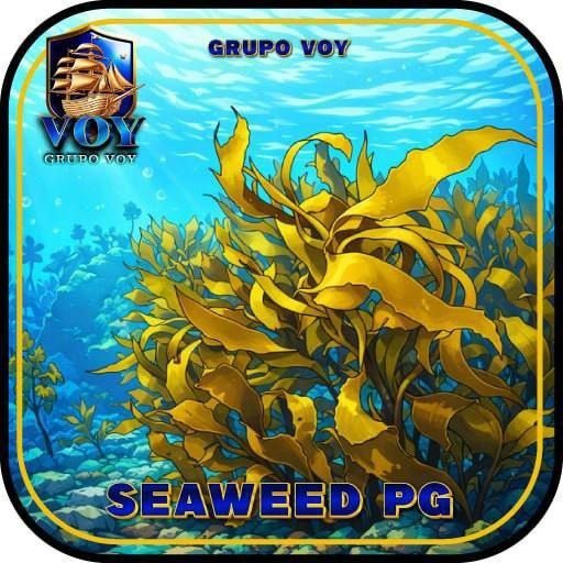 ✨ Voy Seaweed Pg